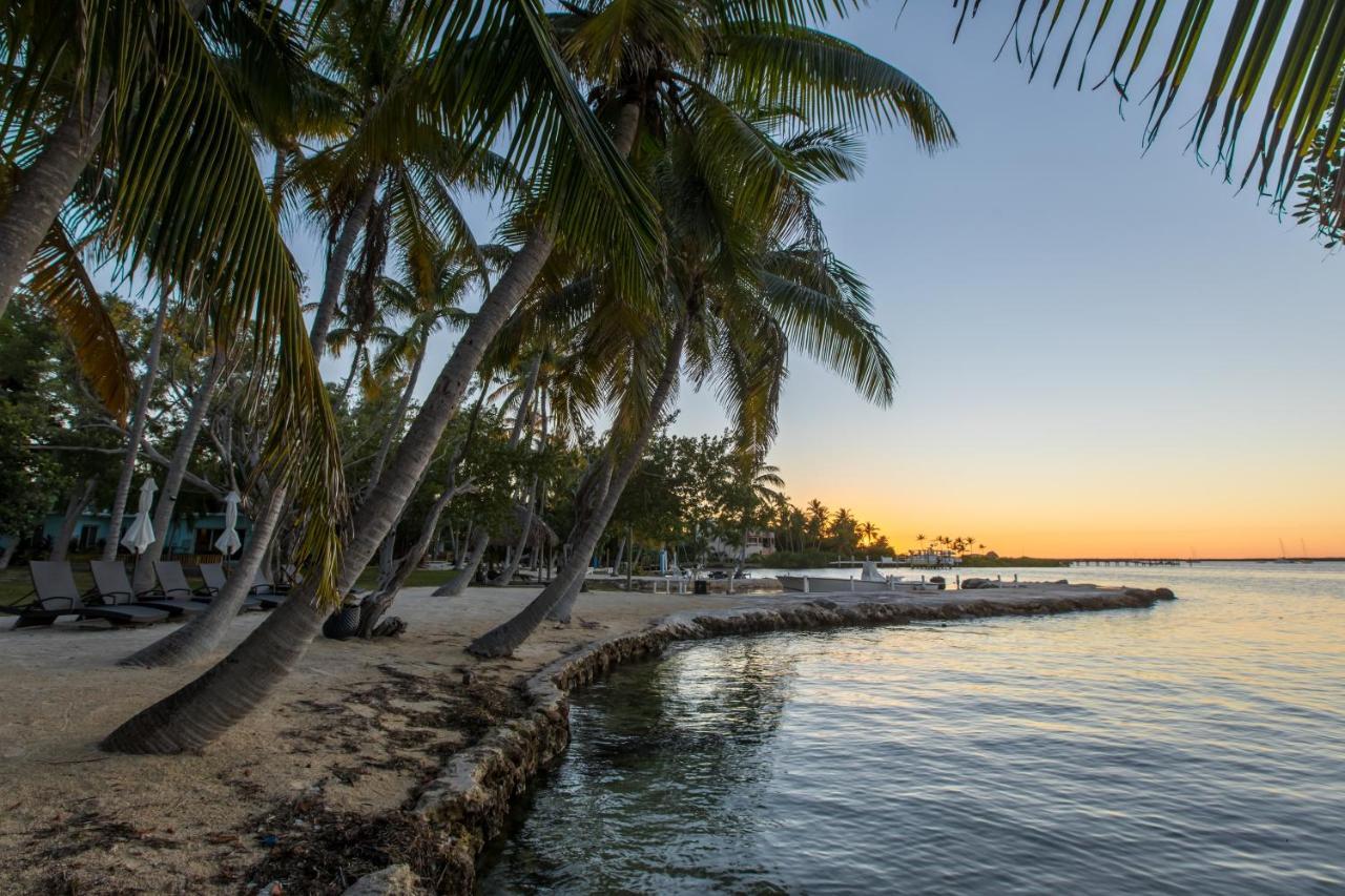 La Jolla Resort Islamorada Ngoại thất bức ảnh