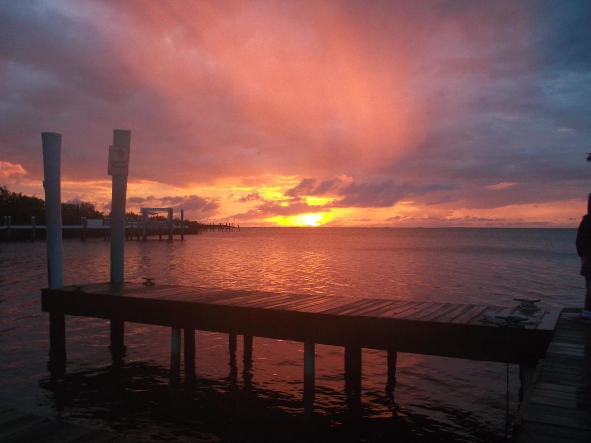 La Jolla Resort Islamorada Ngoại thất bức ảnh