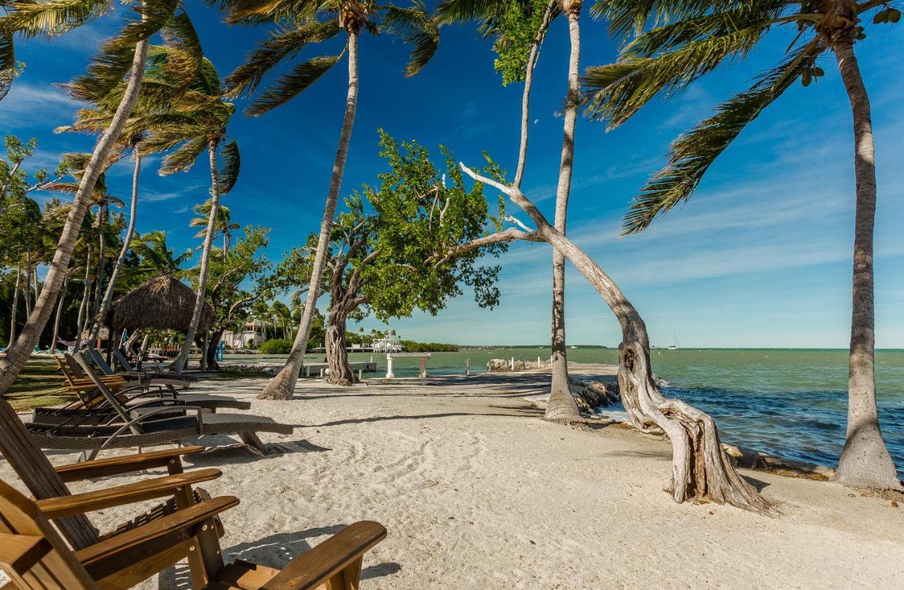 La Jolla Resort Islamorada Ngoại thất bức ảnh